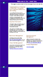 Mobile Screenshot of ns1.webtechs.net
